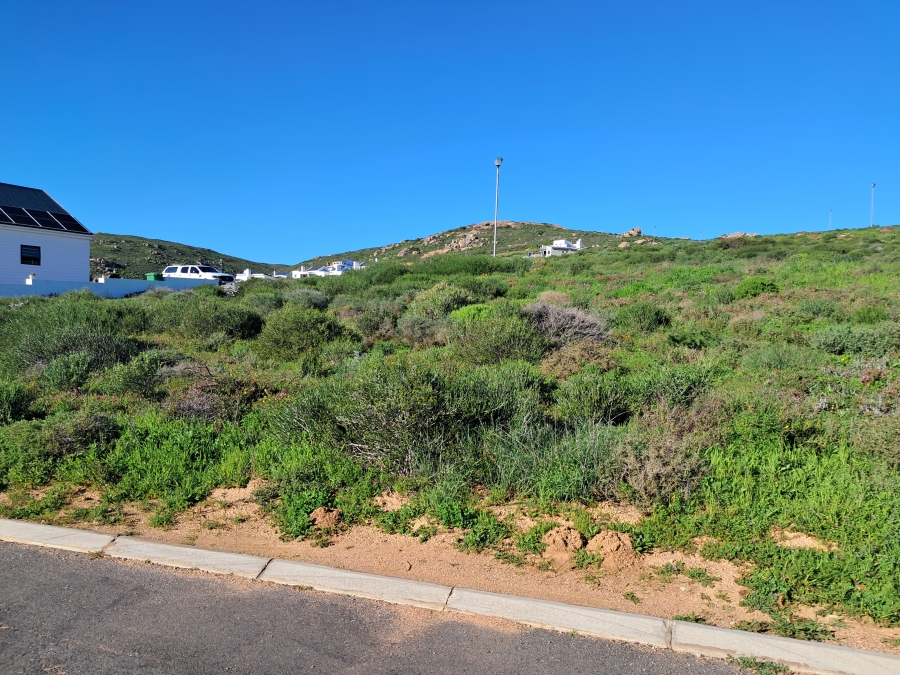 0 Bedroom Property for Sale in Steenbergs Cove Western Cape